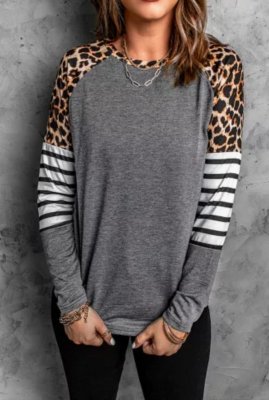 Gray Leopard Striped Long Sleeve Top